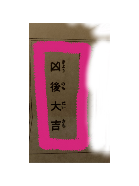 初めてみた！！
