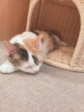 出勤しました!