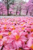 有り難うございます💓