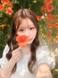 本日