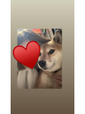 お久しぶりです😊