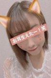 |･ω･)ﾉ やほ～| ///|