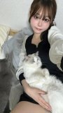 ねこねこねこなの