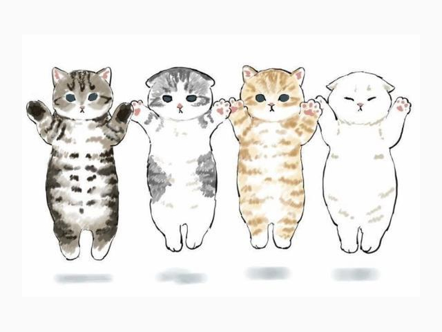 【お礼写メ日記】猫ちゃん見っけ!笑