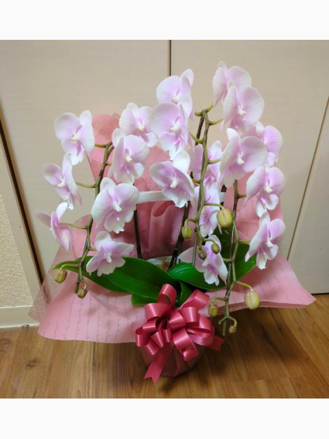 ありがとうございました