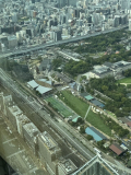 動物園見えた‼️
