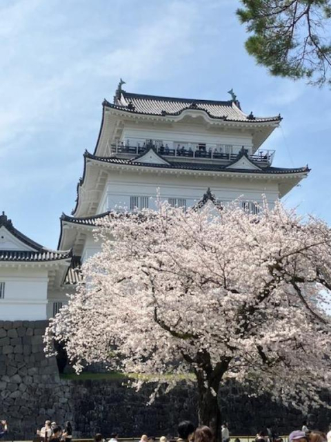 今晩は