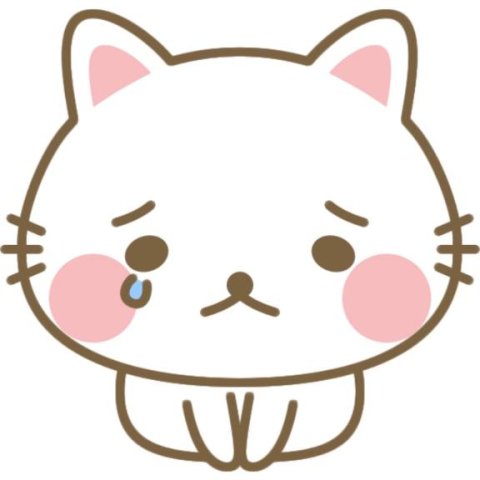 お休みです