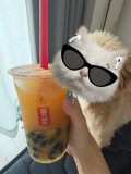 はまってる🐤