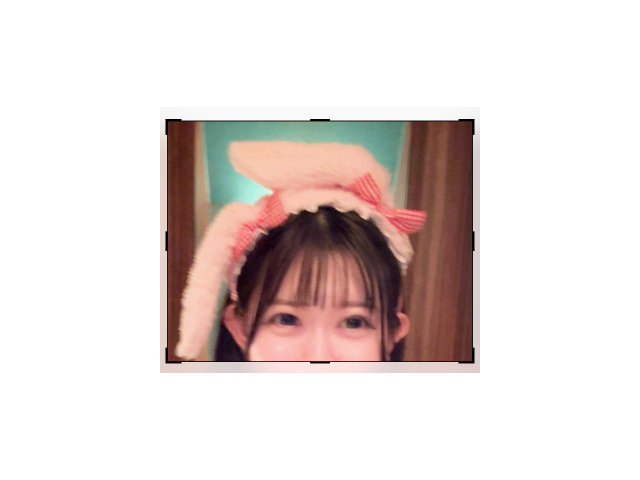 うさぎモード🐰