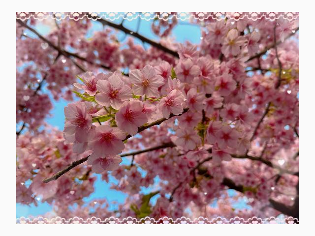 本日19:00～♡