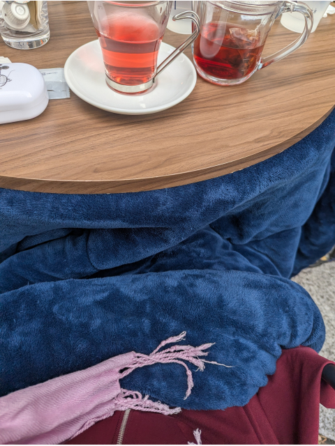 こんばんは(*´∀`*)