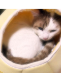 のんびりと・・・