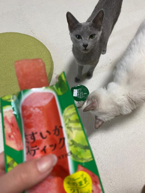 🍉