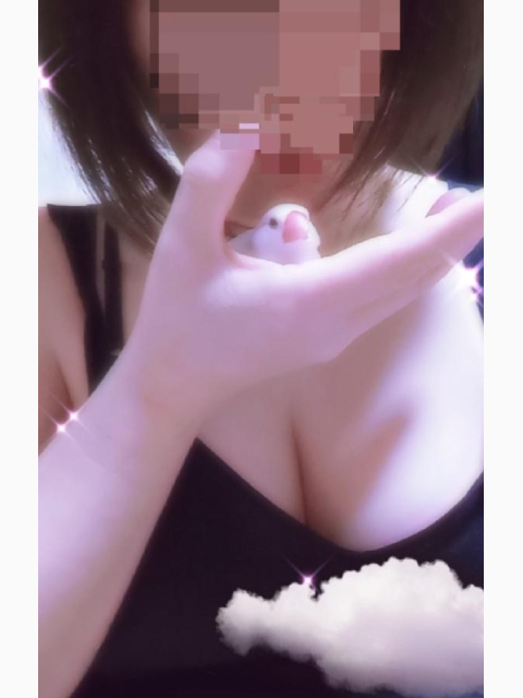 感謝(*^^*)