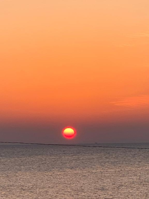 おはようございます☀️