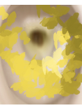 スペシャルタイム????