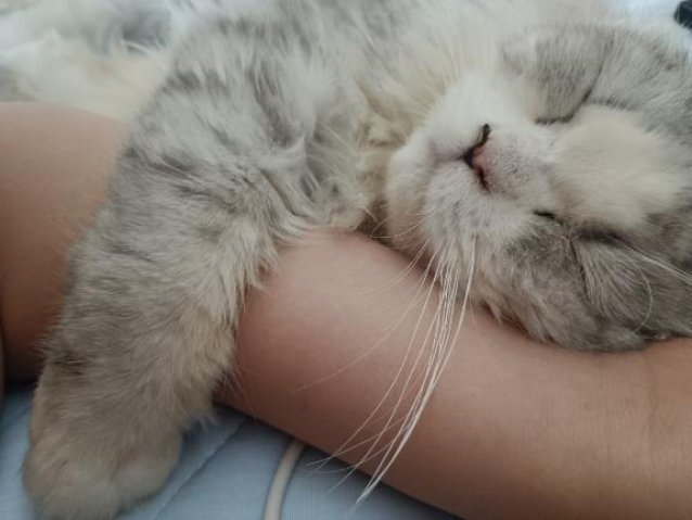 (｡･ω･)ﾉ