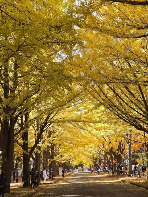 11/2、夜お会いしたお客様へ💕