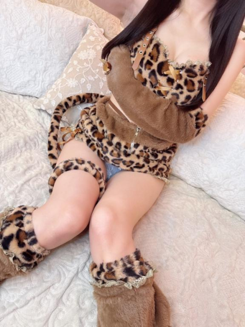 🐈💕