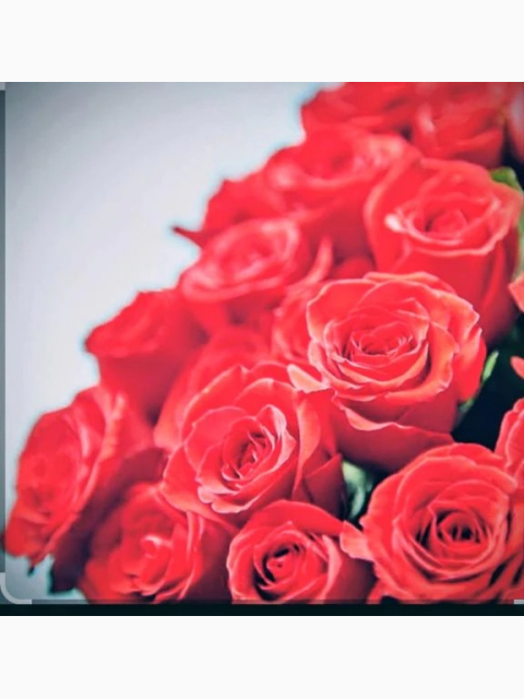 ないまぜの感情で「欲しかった」