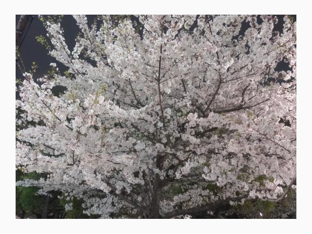 おすそ分け