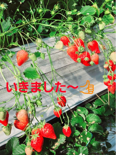 最近の出勤