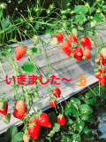 最近の出勤