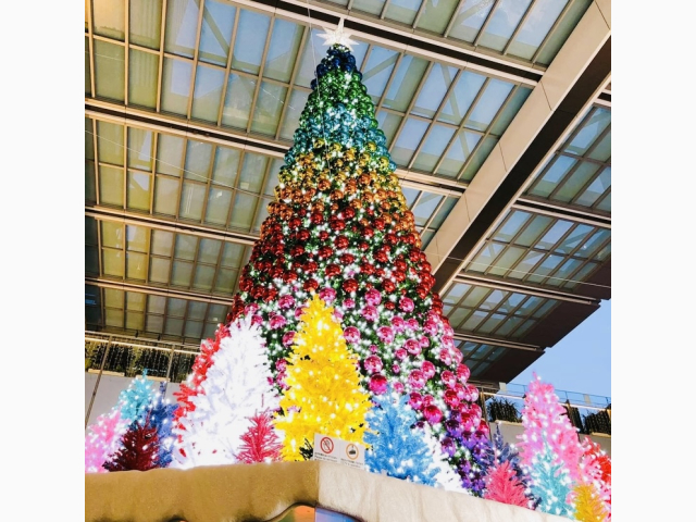 お会い出来るのを楽しみに