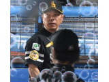 プロ野球、結果⚾️