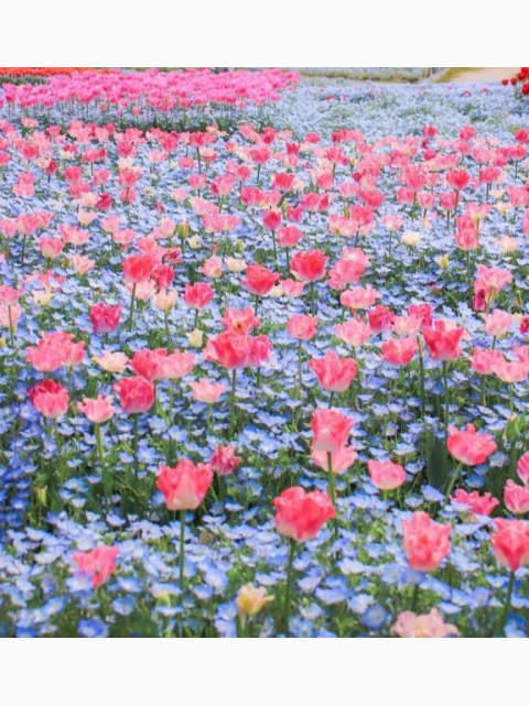 出勤してます☺️✨✨