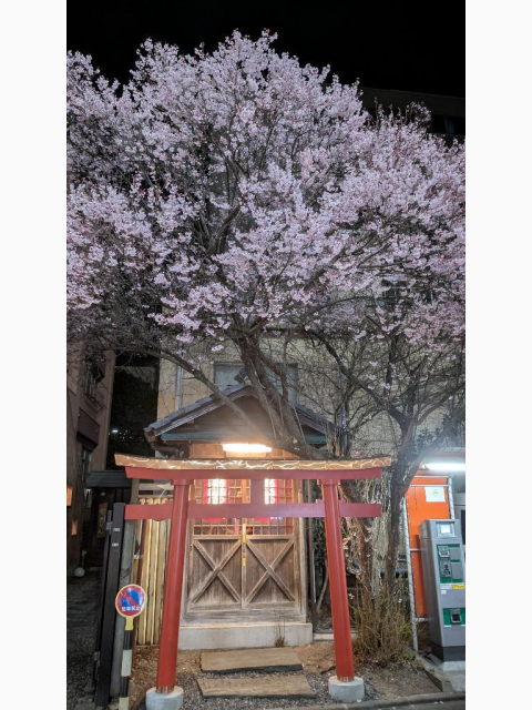 今年も🌸この季節がやってきた🌸