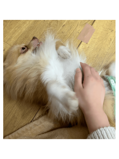 【♡】ここ大好きなの♡