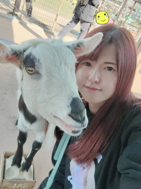 そんなことより大切なのはヽ(。・ω・。)ノ