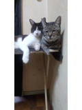 本日出勤します❣️