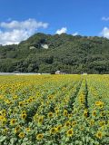 9月23日→火曜日