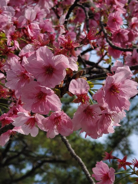 今日は19時30分~出勤します♪