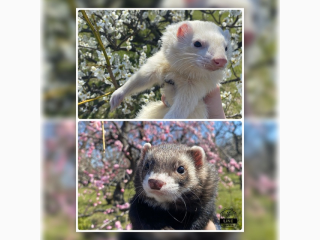 💗性欲モンスター💗