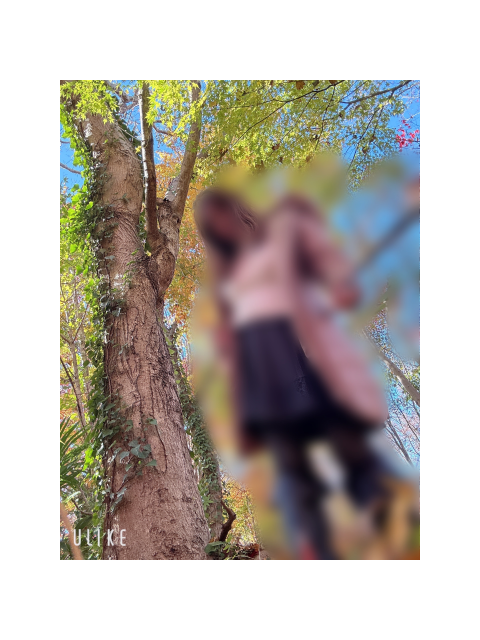 自撮り棒大活躍