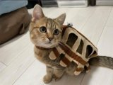 にゃん