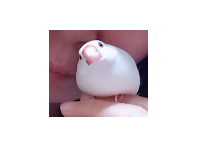 今撮り(*^^*)