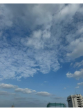 おはようございます☀️