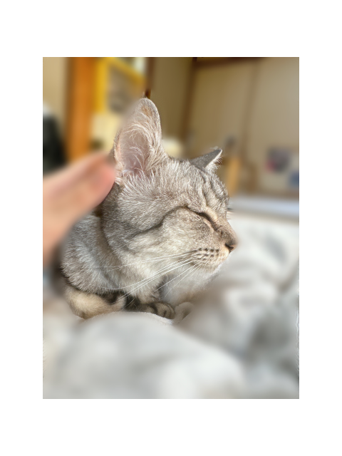 暑いですね (♡̷̷̷ ⸝⸝• ̫•⸝⸝)