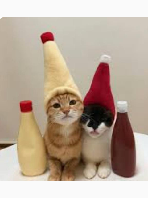 12時～出勤します♪