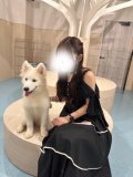 気になったんだ〜
