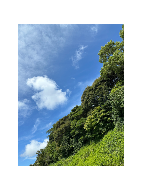ぽーにょぽにょぽにょ