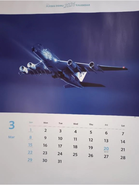 今日から