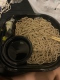 今日も