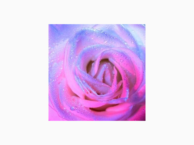 バキバキのちょうだい?♡