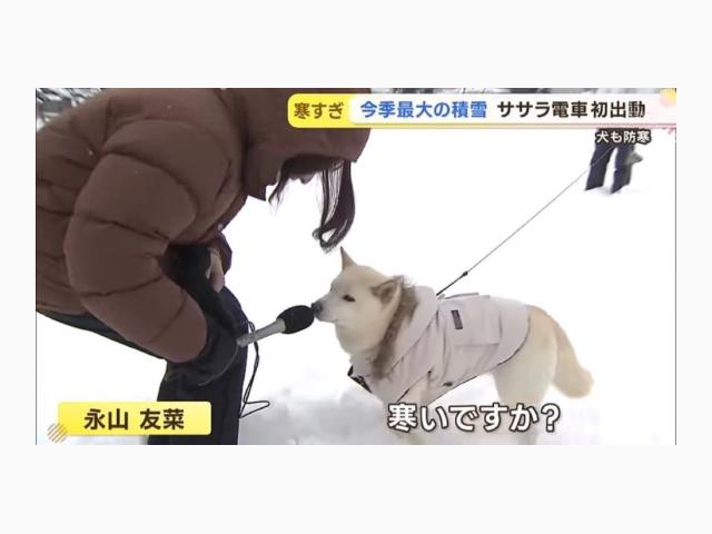 🦋マイガール沢山ありがとう